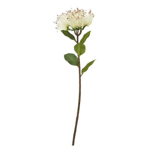 Full view of an artificial flower stem with a broad cream brush-like head, brown tips and oval green leaves along a brown stem.