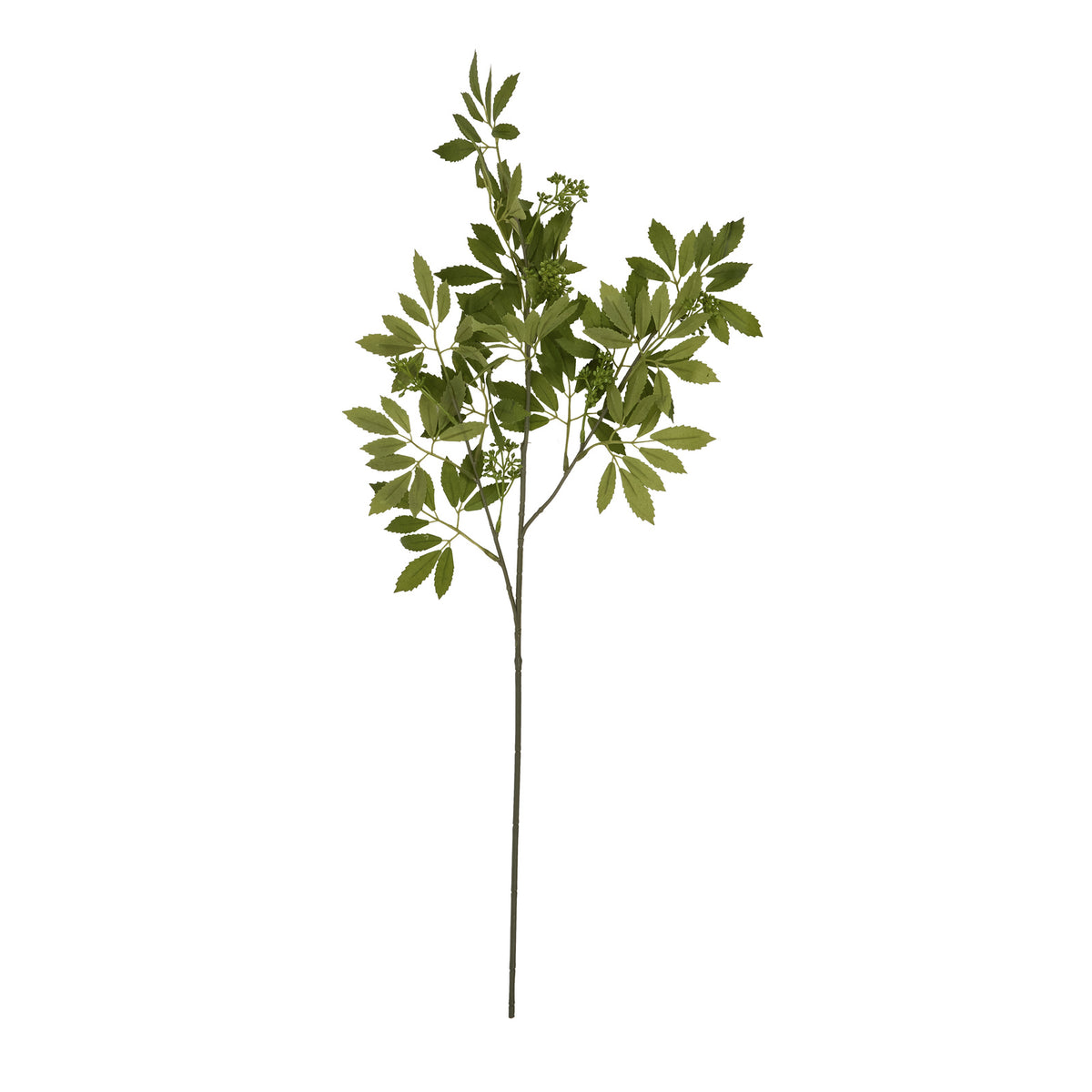 Full view of the Budlet Branch artificial foliage stem, with a long dark-green stalk, branching leafy sprays and small green bud clusters against white.