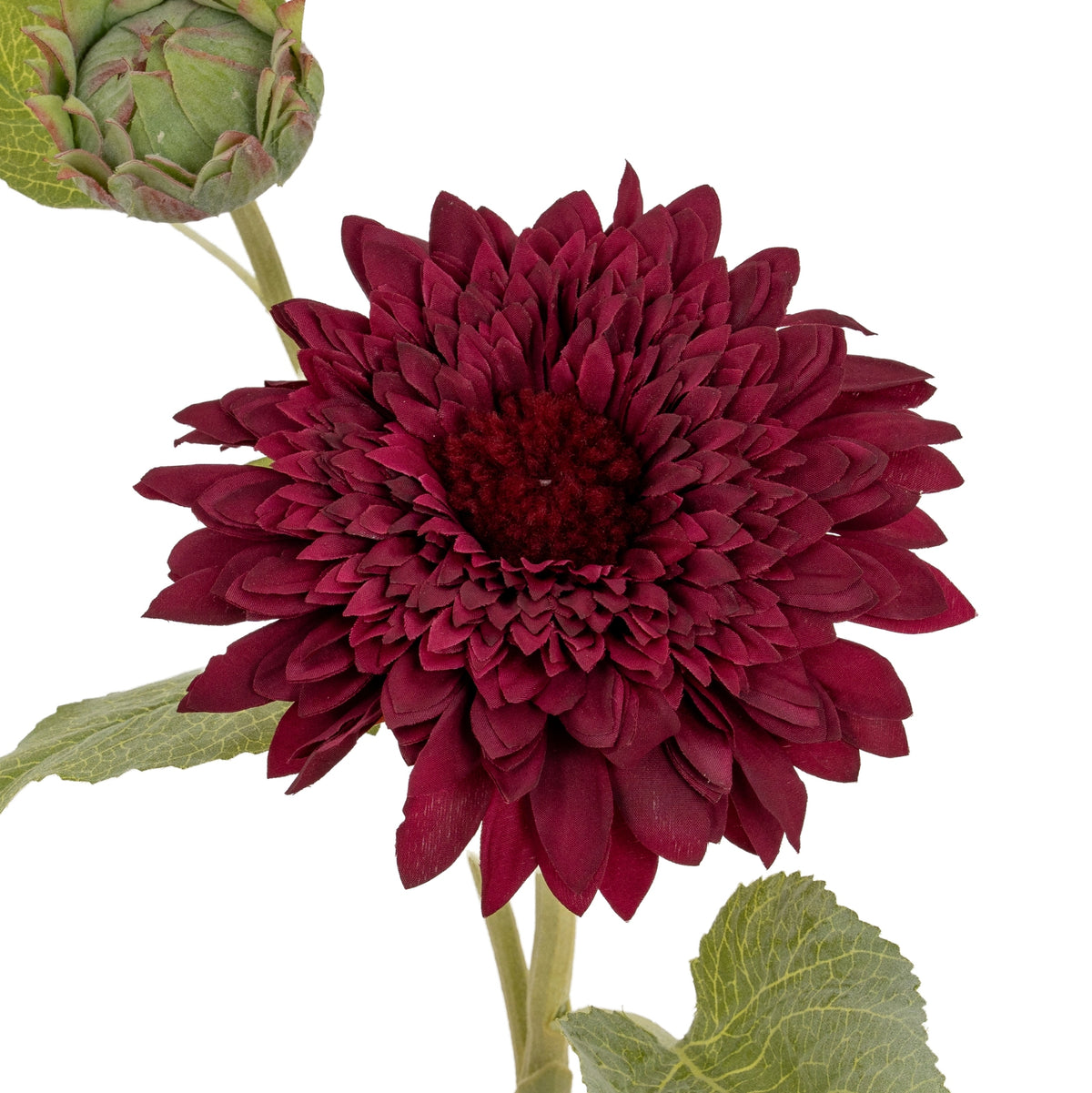 Detail of overlapping burgundy petals around the flower's dark centre, with part of the green bud visible at the upper left.