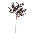 Full view of burgundy artificial foliage against white, with small rounded leaves on branching stems above a long bare lower stem.