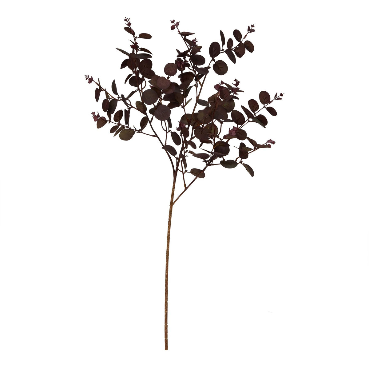 Full view of burgundy artificial foliage against white, with small rounded leaves on branching stems above a long bare lower stem.