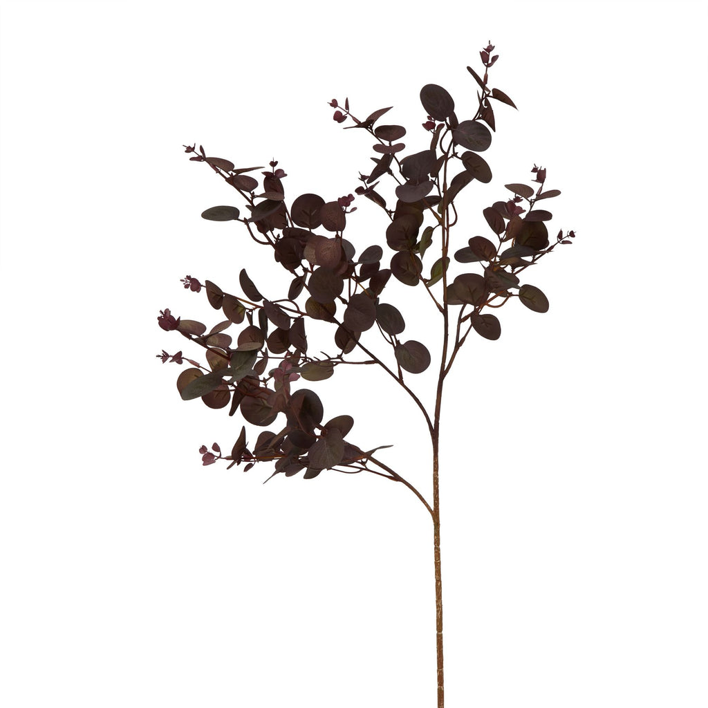 Closer view of the burgundy rounded leaves and reddish branches, showing varied leaf angles and fine surface detail against white.