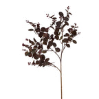 Closer view of the burgundy rounded leaves and reddish branches, showing varied leaf angles and fine surface detail against white.