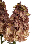 Close-up of clustered burgundy and tan artificial blooms with curled petal edges and small olive-toned centres against white.
