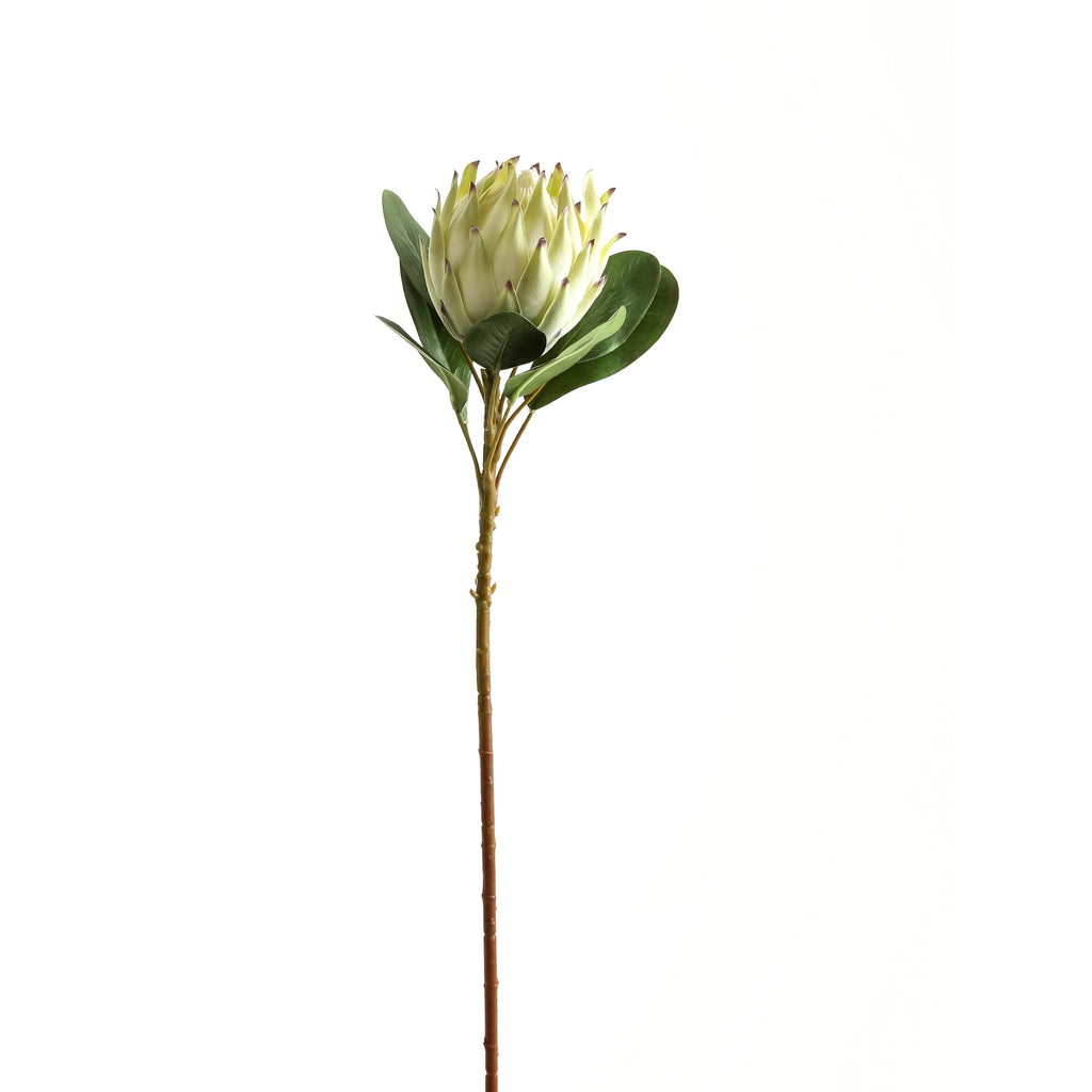 Burgundy Tip Artificial Flower Stem shown upright against white, with a pale green-white flower head, broad green leaves and a long brown stem.