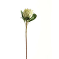 Burgundy Tip Artificial Flower Stem shown upright against white, with a pale green-white flower head, broad green leaves and a long brown stem.
