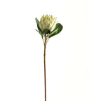Burgundy Tip Artificial Flower Stem shown upright against white, with a pale green-white flower head, broad green leaves and a long brown stem.