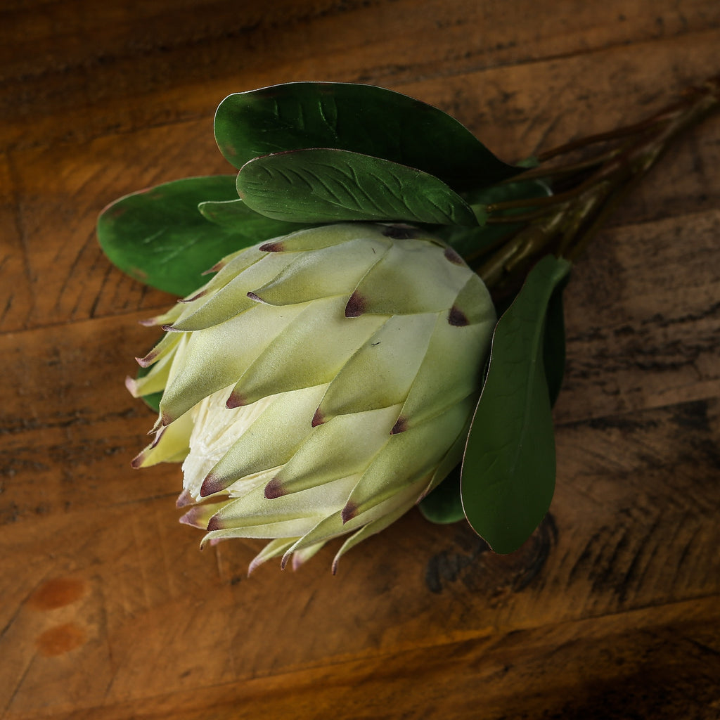 Side view of the artificial flower head resting on wood, with overlapping pale green bracts, burgundy points and broad veined green leaves.