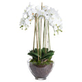 Full artificial flower arrangement against white, with arching white blooms, upright tan canes and broad green leaves above a clear rounded pot.