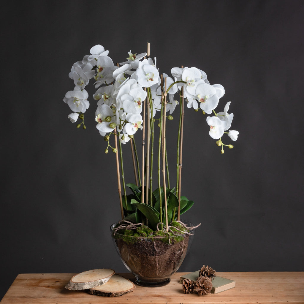 White artificial flower arrangement in a clear pot on a wooden table against a dark wall, styled beside wood slices, a book and pine cones.
