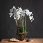 White artificial flower arrangement in a clear pot on a wooden table against a dark wall, styled beside wood slices, a book and pine cones.