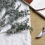 Close-up of small charcoal-grey and muted green leaves laid across white cloth, beside part of an open notebook and pruning shears.