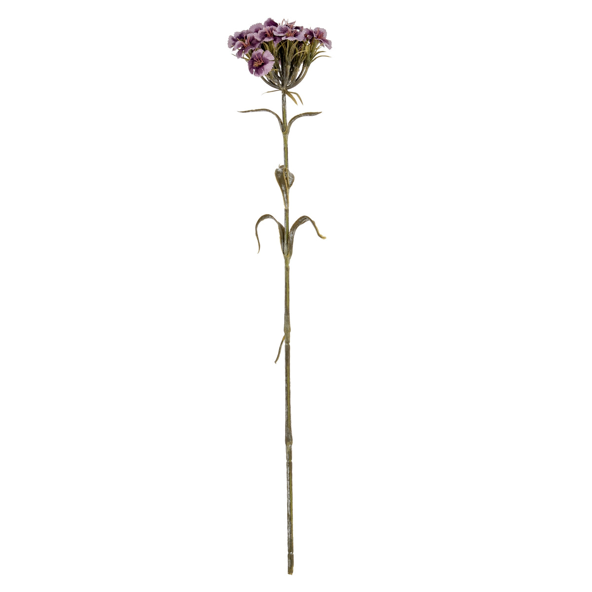 Full view of a purple artificial flower spray with a clustered head, long green stem and narrow curled leaves against white.