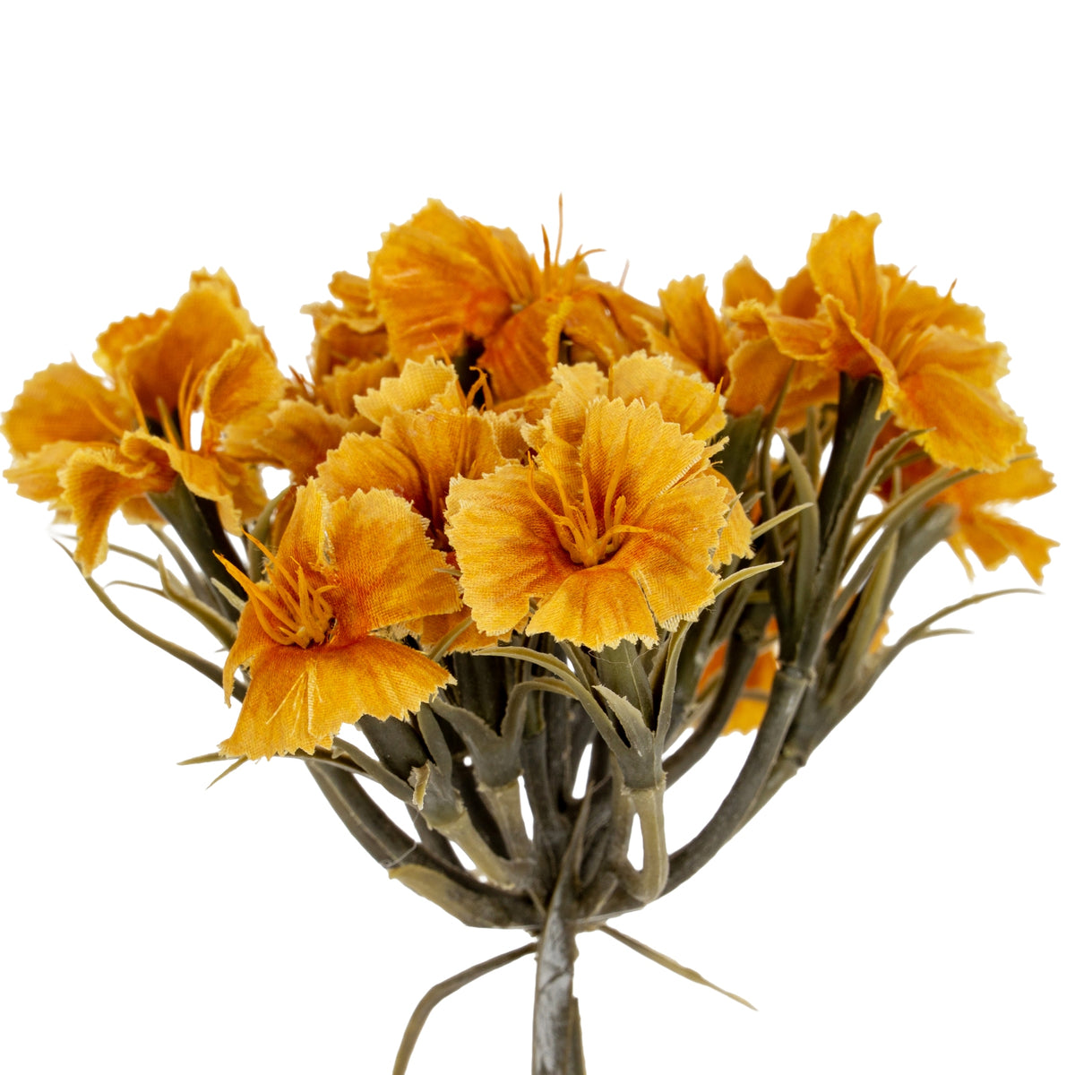Close-up of the clustered yellow flower heads, showing ruffled petal edges and the green branches beneath them.