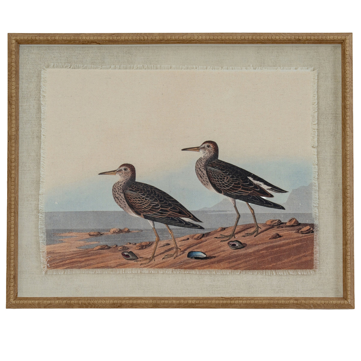 Front view of a framed coastal print showing two shorebirds on a beach, with a pale textured surround and warm tan-gold beaded frame.