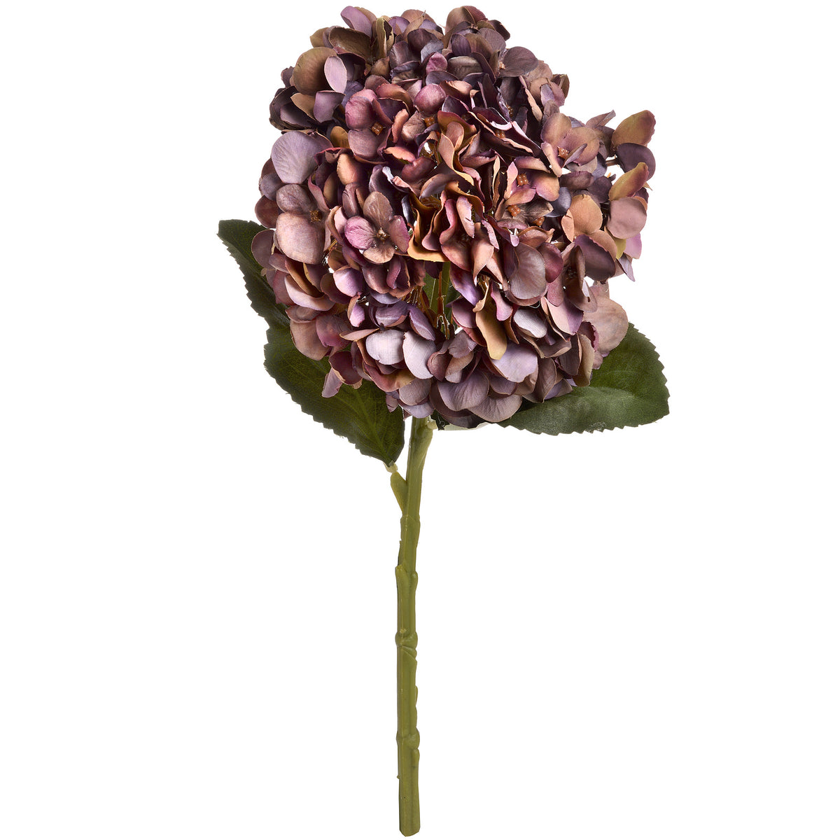 Coffee Cluster artificial hydrangea stem with a full brown and mauve flower head, broad green leaves and a long green stem on white.
