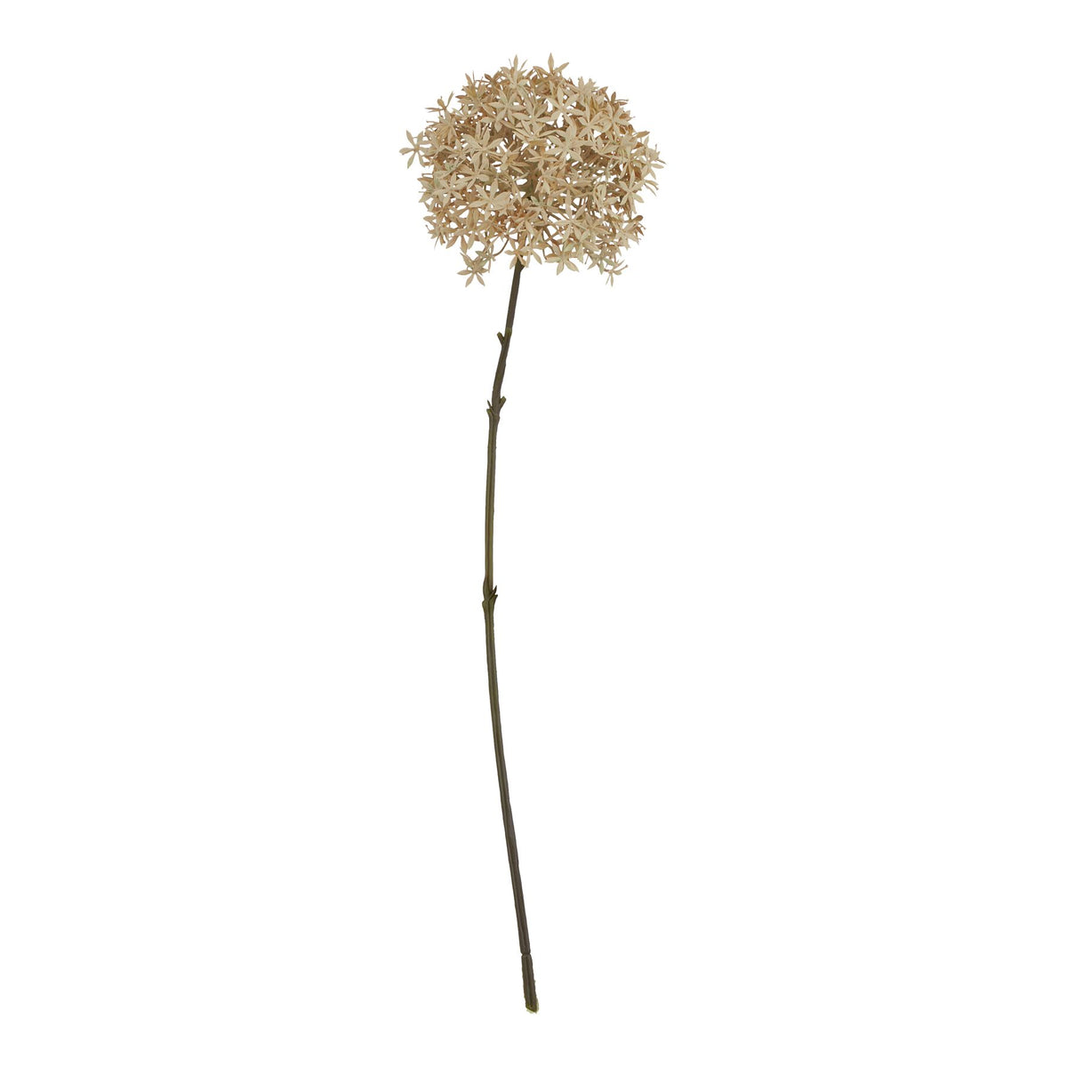 Full-length coffee floretball artificial flower stem with a rounded beige flower head and slender dark stalk against white.