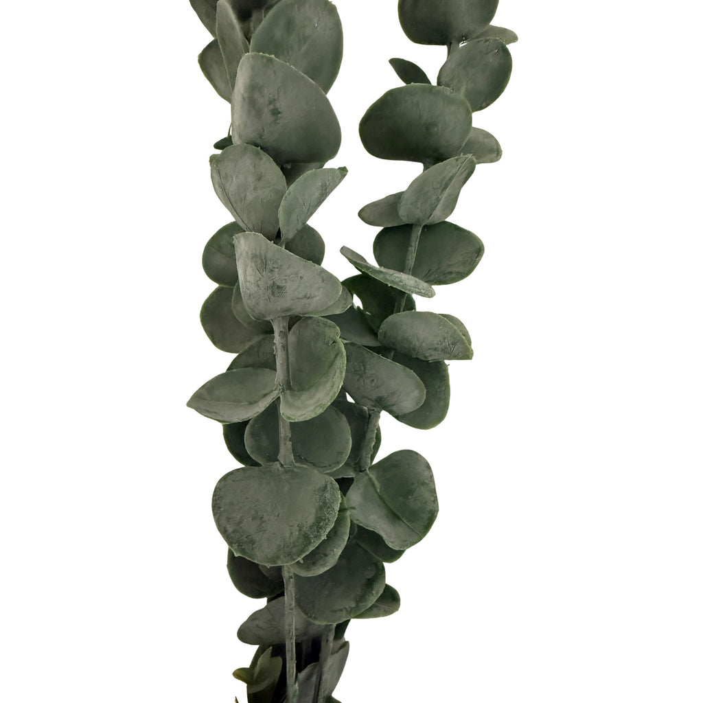 Close-up of overlapping coin-like eucalyptus leaves, showing their matte grey-green surfaces, subtle texture and curved edges.