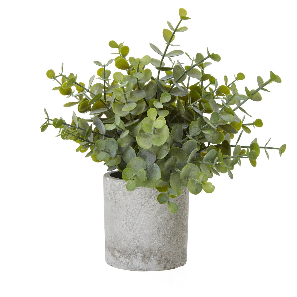 Coinleaf Sage artificial plant with spreading stems and small round green leaves in a straight-sided, mottled grey pot.
