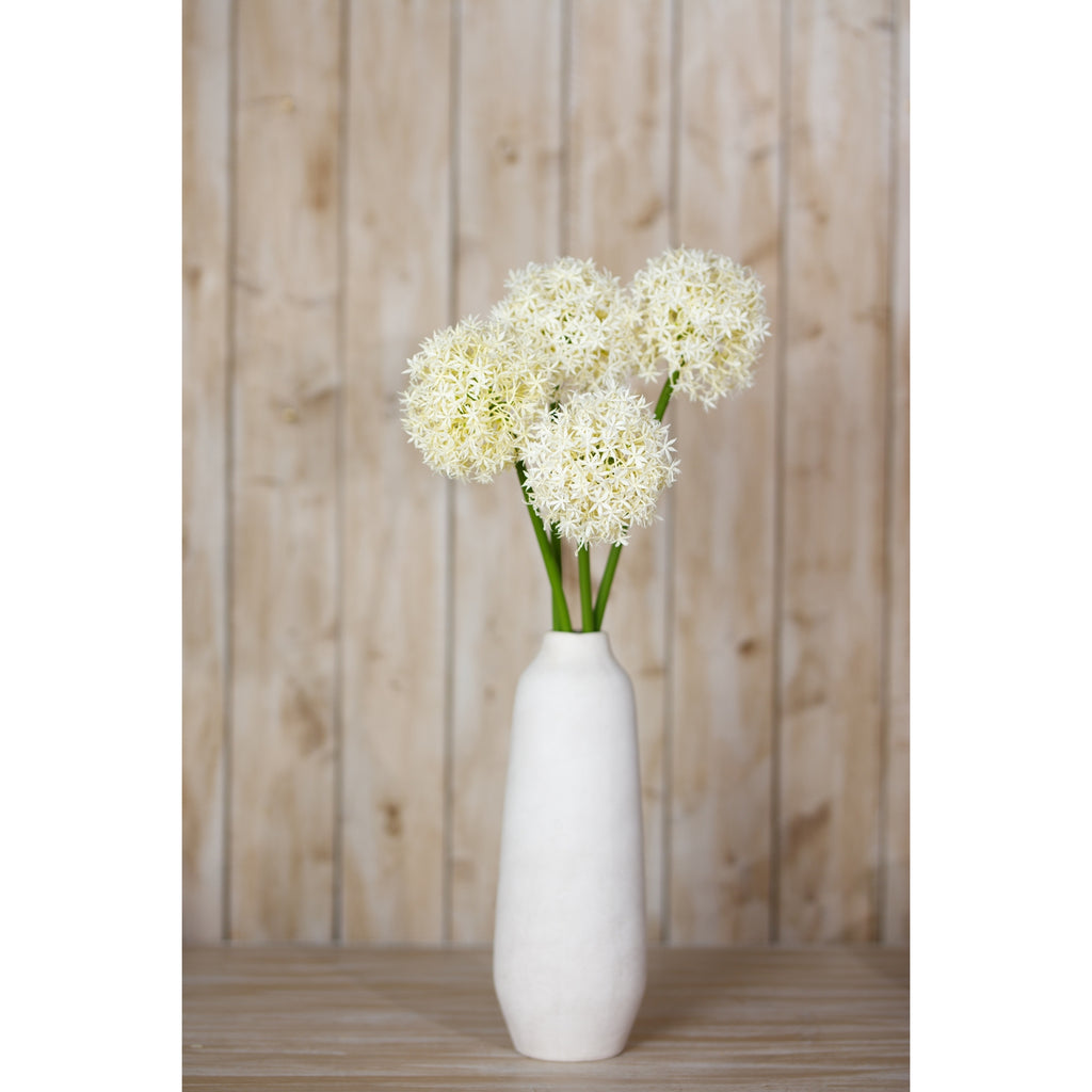 Cream globe flower stems displayed in a tall white vase on a wooden surface before pale wooden panelling.