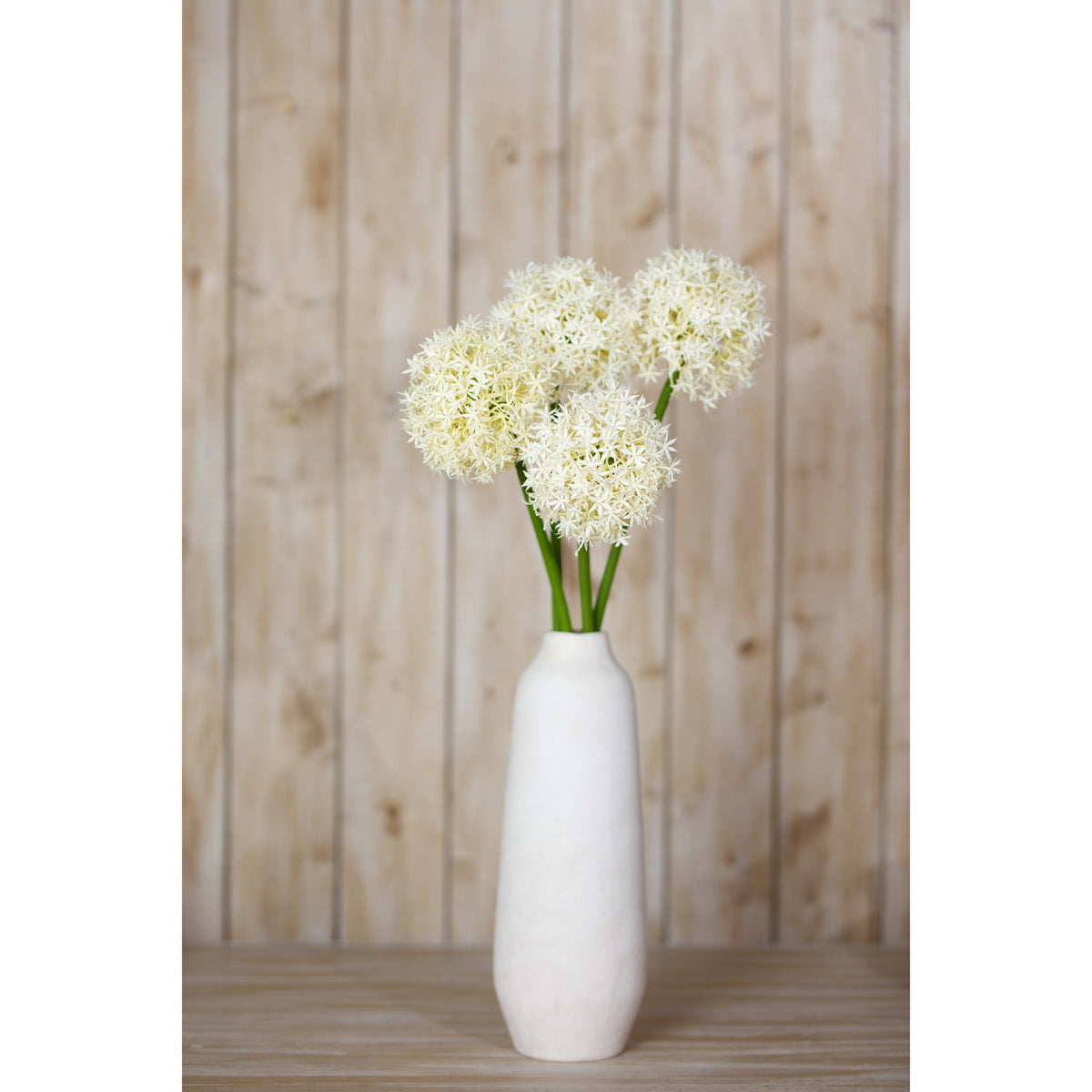 Cream globe flower stems displayed in a tall white vase on a wooden surface before pale wooden panelling.