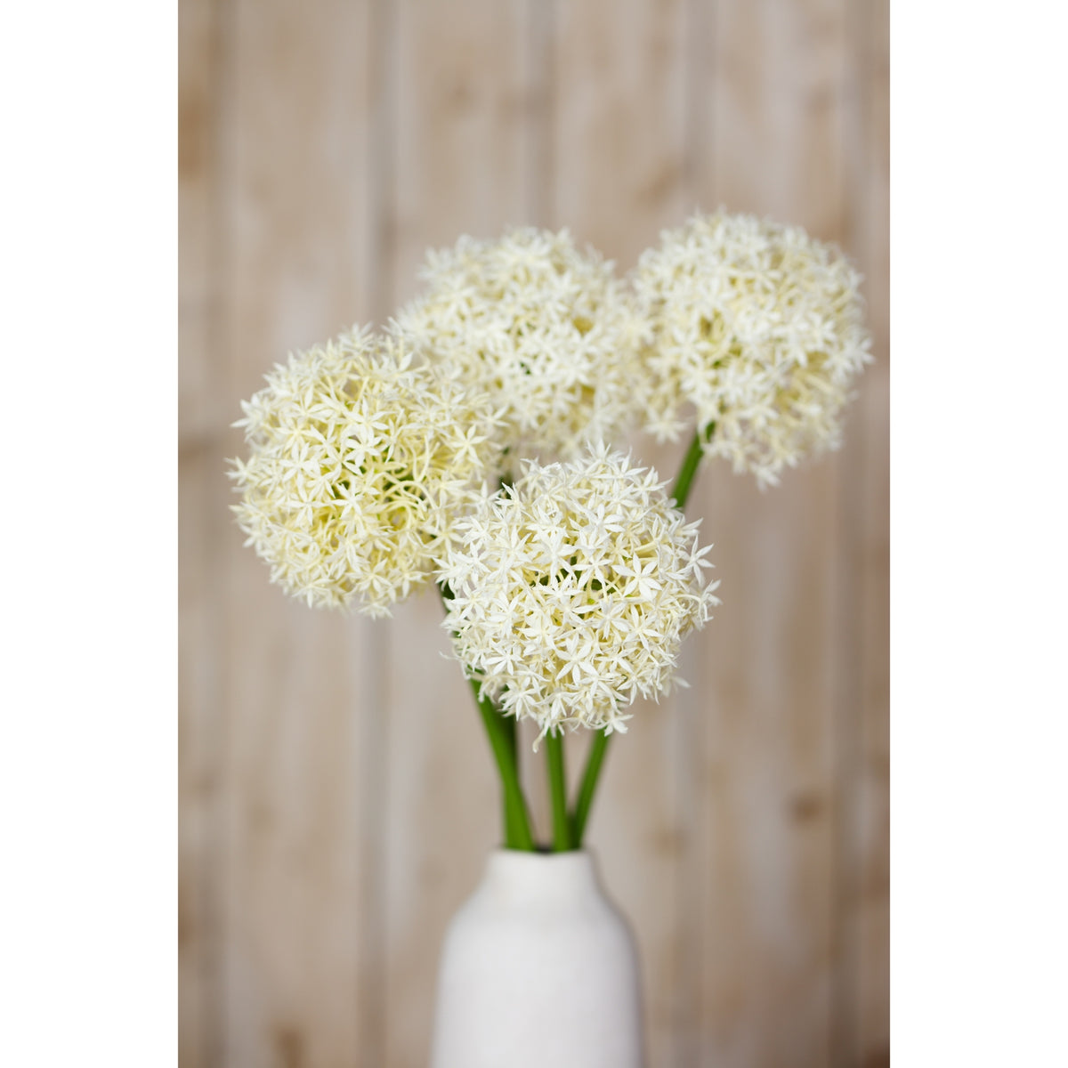 Closer view of four cream globe flower heads at staggered heights, with green stems above a white vase and softly blurred wooden panelling behind.