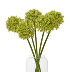 Several green globe flower stems arranged at different heights in a clear glass vase against a white background.