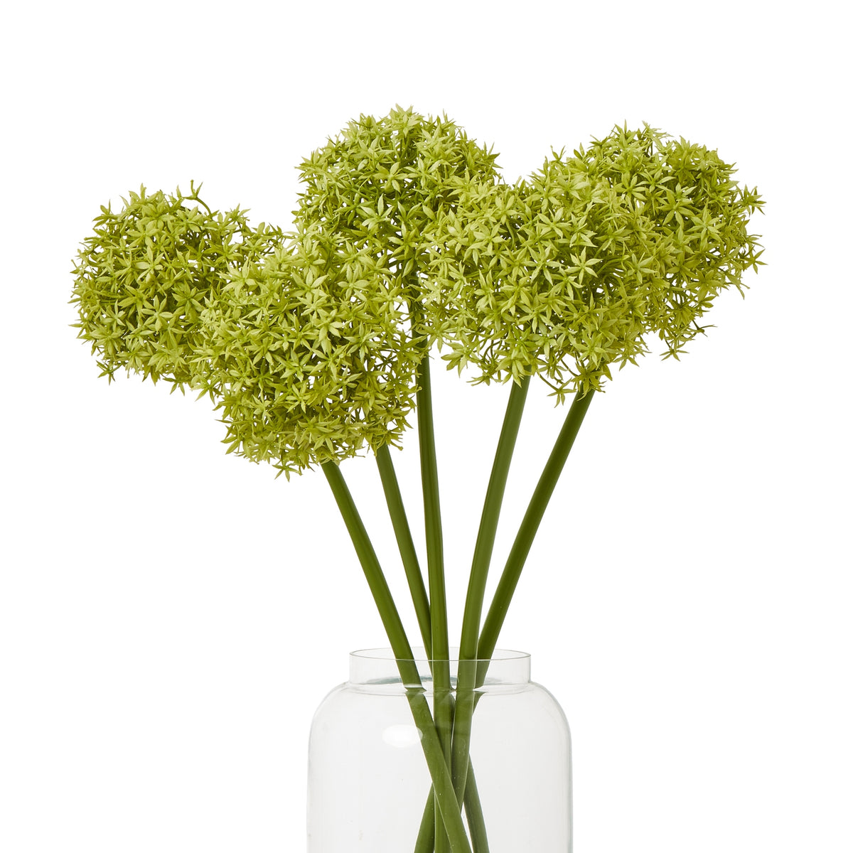 Several green globe flower stems arranged at different heights in a clear glass vase against a white background.