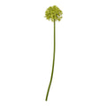 Green artificial flower stem with a spherical floret head and a long curved stem against a white background.