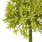 Close-up of the green globe flower head, showing densely clustered star-shaped florets and the top of the stem.