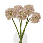 Several pale lilac globe flower stems arranged in a clear vase against a white background.