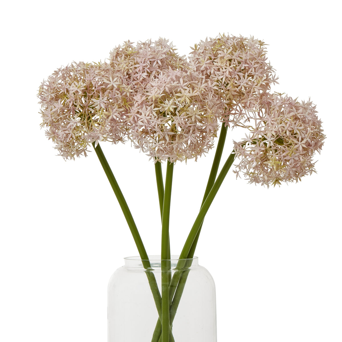 Several pale lilac globe flower stems arranged in a clear vase against a white background.