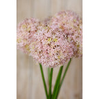 Close view of a pale lilac globe flower in an arrangement, with more rounded flower heads softly blurred behind.