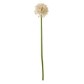 Full view of a pale pink artificial globe flower head on a long green stem against white.