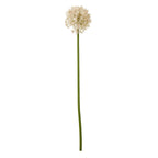 Full view of a pale pink artificial globe flower head on a long green stem against white.
