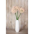 Pale pink globe flower stems displayed in a tall white vase on a wooden surface against a panelled wooden wall.
