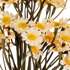 Detail of cream daisy petals with fine surface texture and raised yellow centres, framed by crossing olive-grey stems.