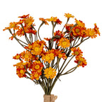 Close-up of small orange-red daisy-like blooms showing textured petals and raised yellow centres among grey-olive stems, with cord binding at the lower edge.