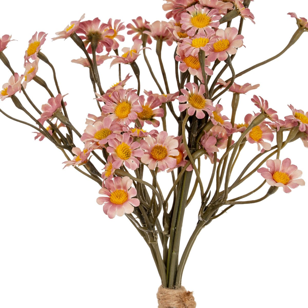 Close-up of pale pink and cream daisy heads with textured yellow centres among branching olive-grey stems, with part of the tan cord wrapping visible at the bottom.