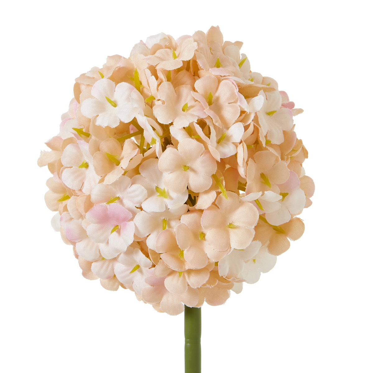 Close-up of overlapping cream, apricot and pale pink florets with textured petals and yellow-green centres.