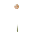 Full view of an artificial flower stem with a long green stalk and a rounded cream and apricot flower head against white.