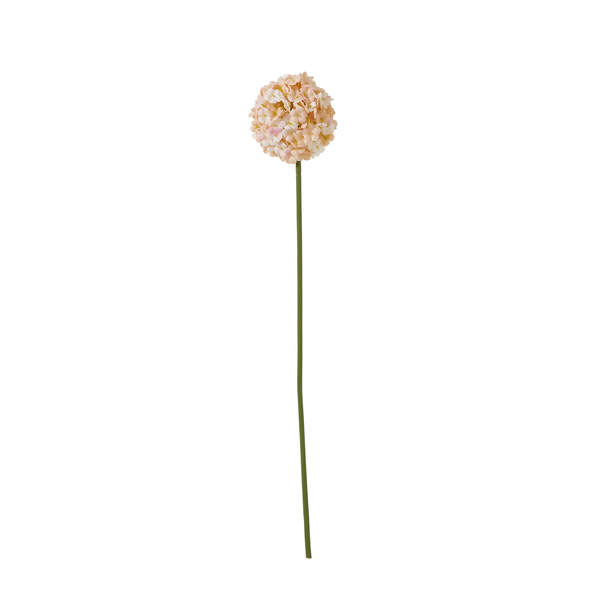 Full view of an artificial flower stem with a long green stalk and a rounded cream and apricot flower head against white.