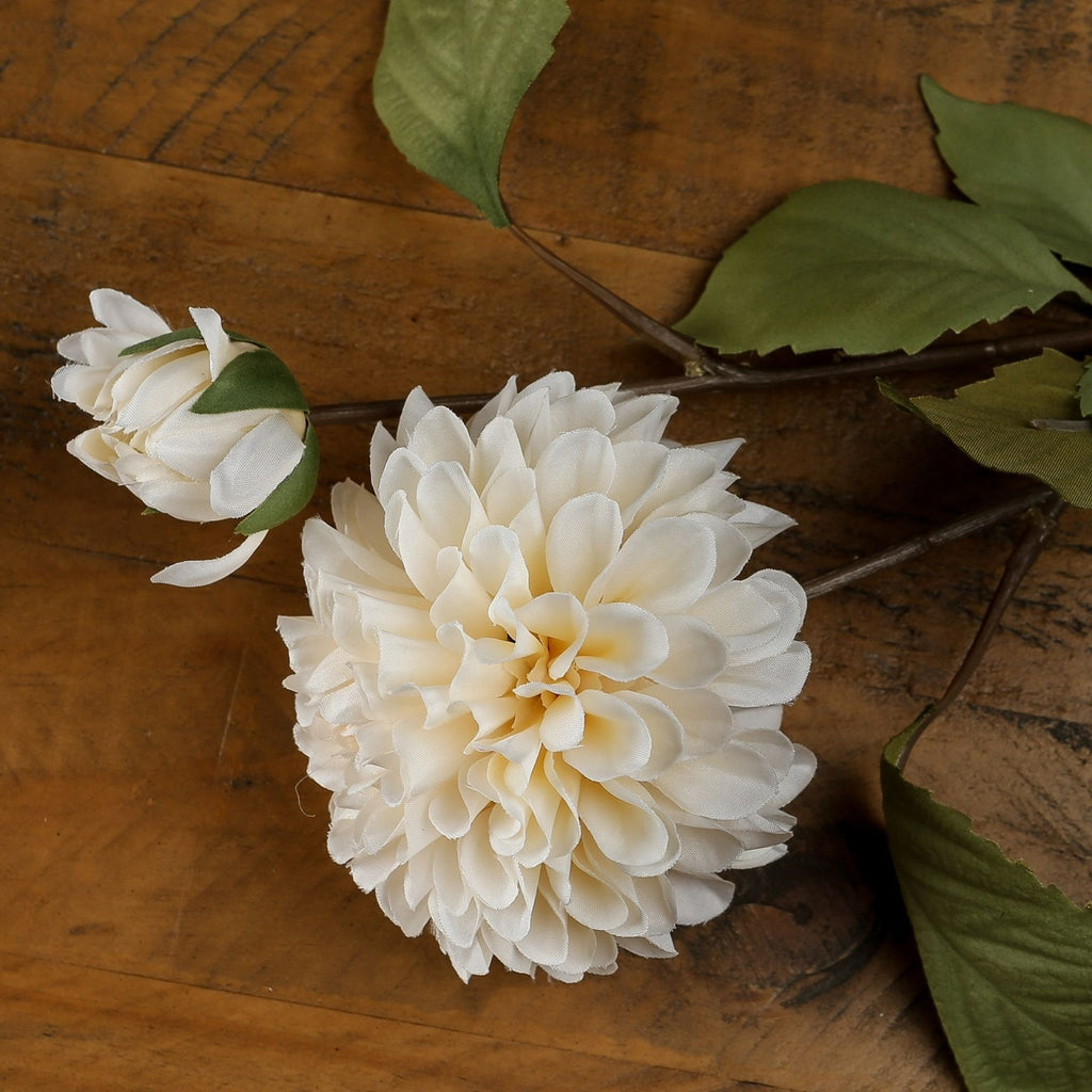 Close-up of layered cream-white petals and a smaller partly open flower lying on a wooden surface, with brown stems and olive-green leaves extending across the frame.