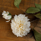 Close-up of layered cream-white petals and a smaller partly open flower lying on a wooden surface, with brown stems and olive-green leaves extending across the frame.