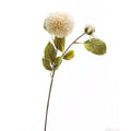 Cream-white artificial flower stem against a white background, with a large rounded bloom, a smaller partly open flower and serrated olive-green leaves on brown branches.