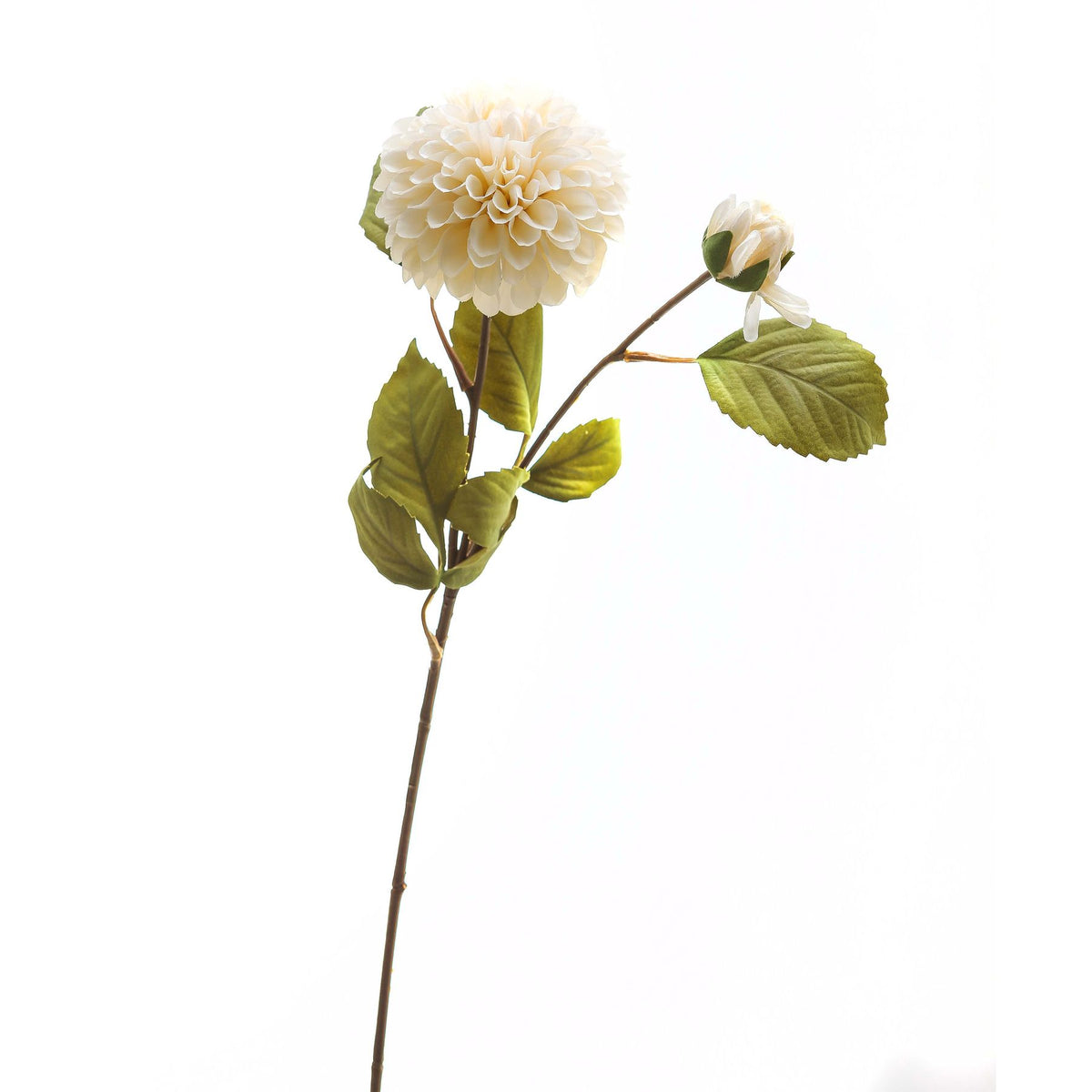 Cream-white artificial flower stem against a white background, with a large rounded bloom, a smaller partly open flower and serrated olive-green leaves on brown branches.