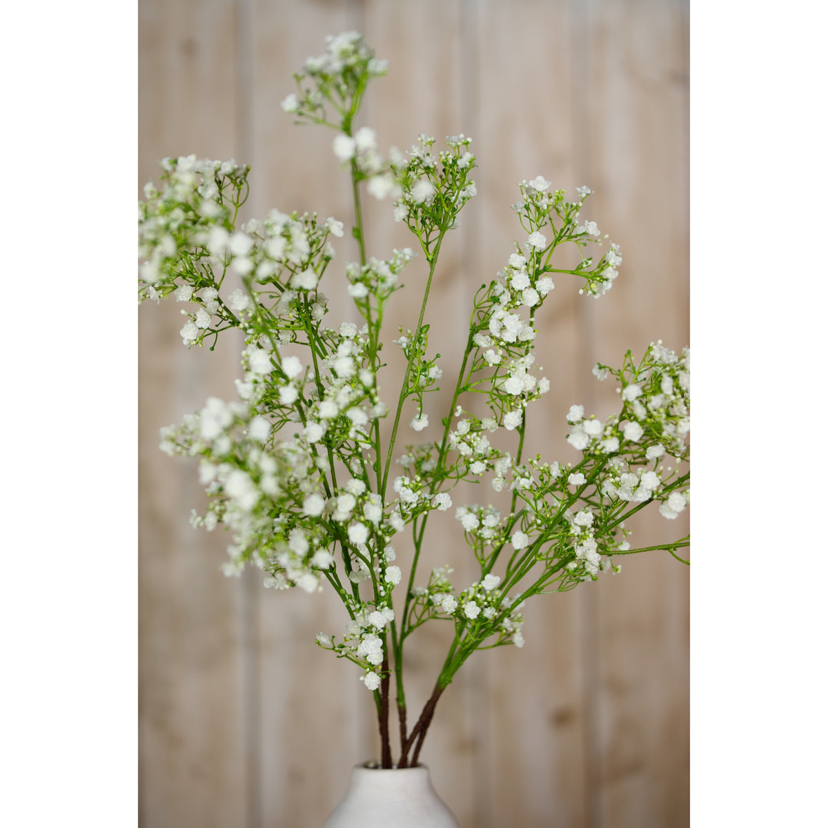 Closer view of cream gypsophila flower clusters branching above the neck of a pale vase, with wood panelling behind.