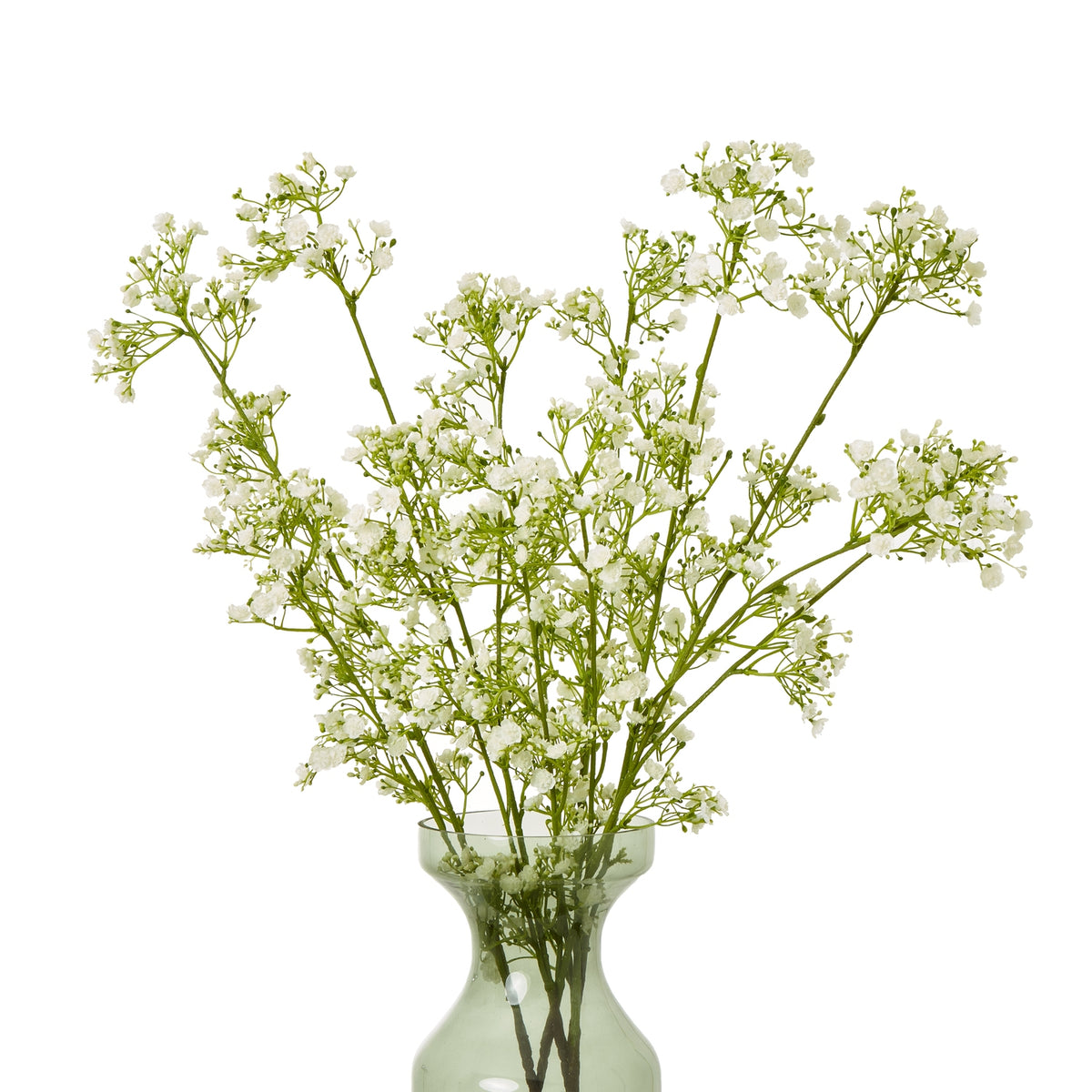 Cream gypsophila stems arranged in a translucent pale green vase against a white background.