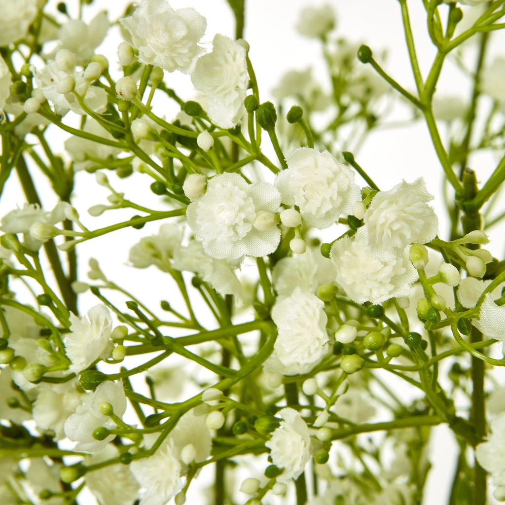 Close-up of layered cream gypsophila flowers and small rounded buds among fine green stems.