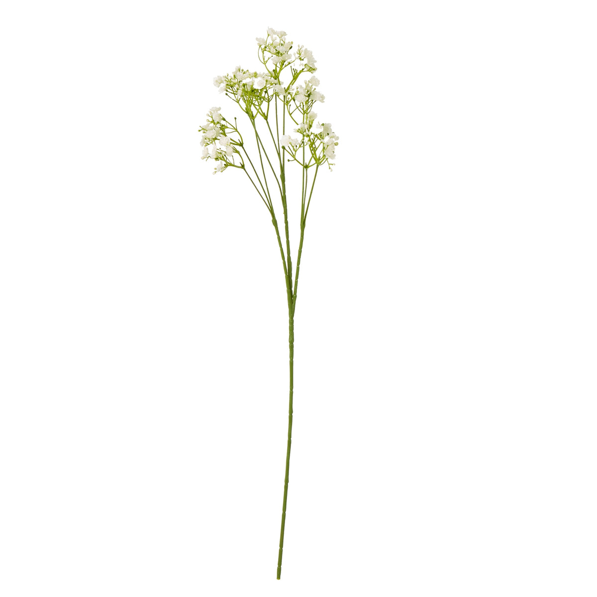 Cream artificial gypsophila stem on a white background, with a long green stalk and fine branches carrying small flower clusters.